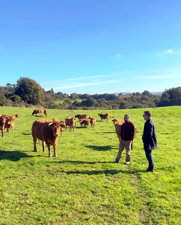 Mickaël Dossal,
éleveur de vaches de race limousine,
Loc-Eguiner Saint-Thégonnec, Finistère (29)